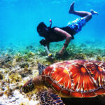 snorkeling mistakes to avoid