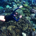 best snorkeling places in florida