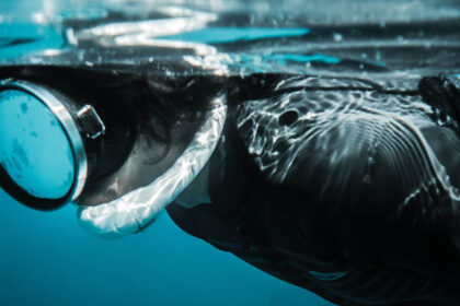 Full-face Snorkel Masks