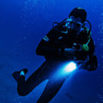 snorkeling at night