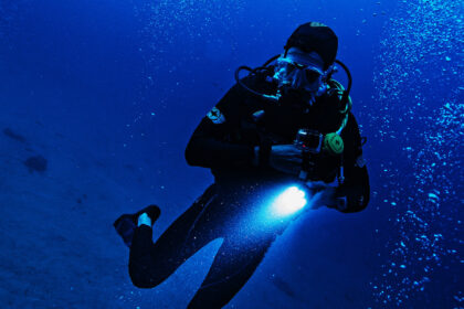 snorkeling at night