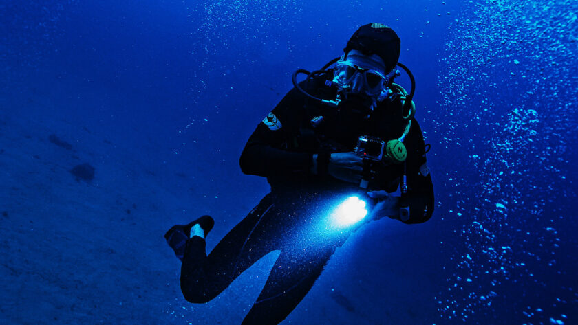 snorkeling at night