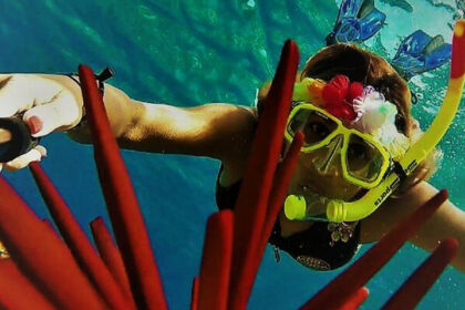 Maui snorkeling