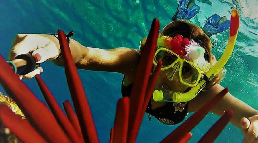 Maui snorkeling